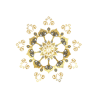 popularcompanylogo
